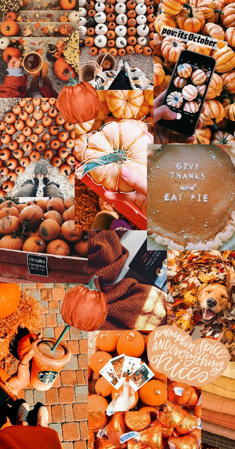 Autumn Pumpkin Collage_ Aesthetic Wallpaper