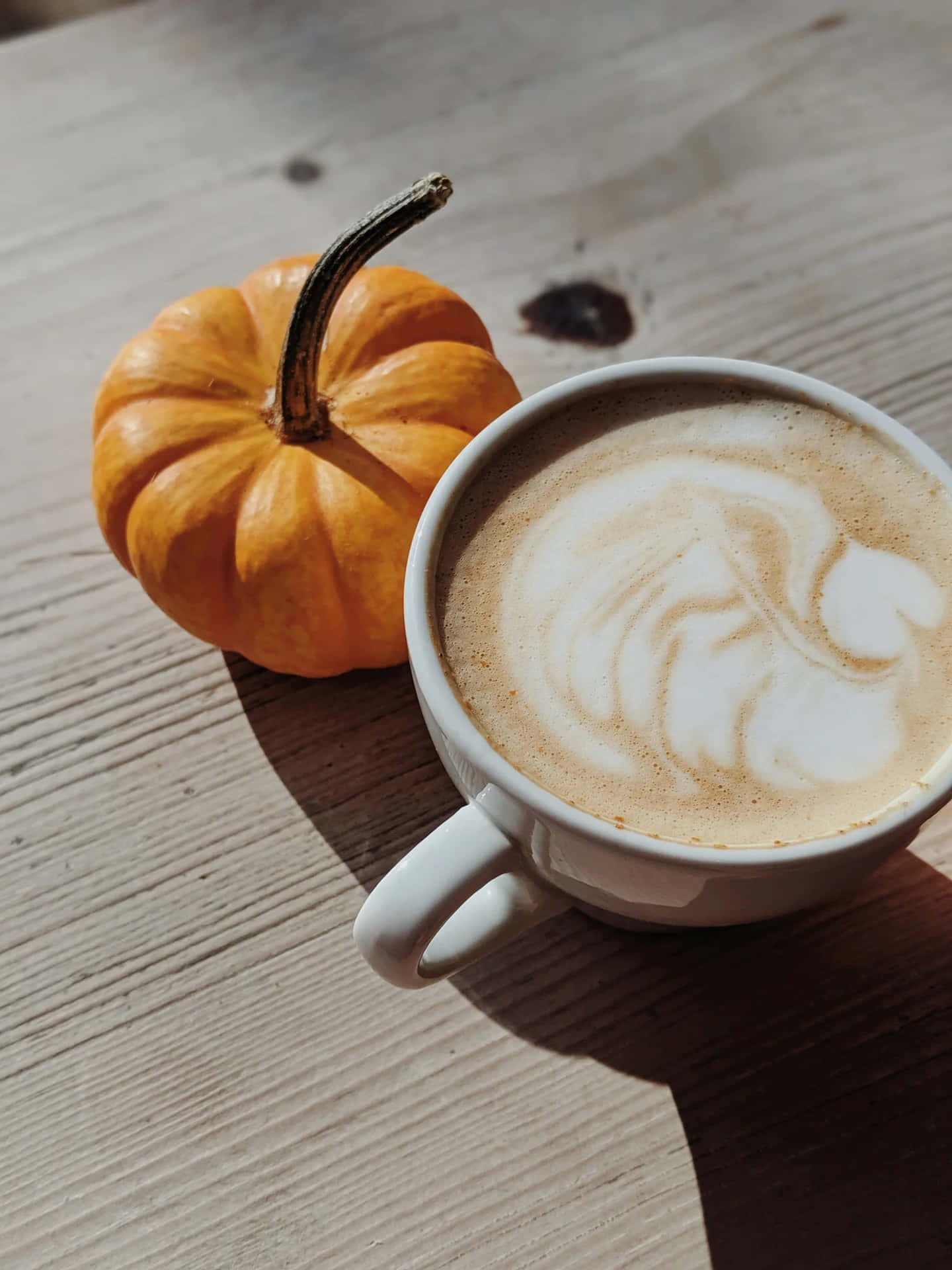 Autumn Pumpkin Latte Aesthetic.jpg Wallpaper