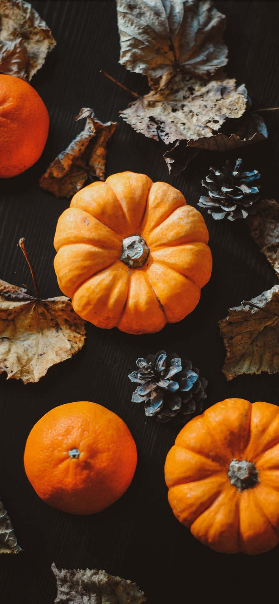 Autumn_ Pumpkins_and_ Leaves Wallpaper