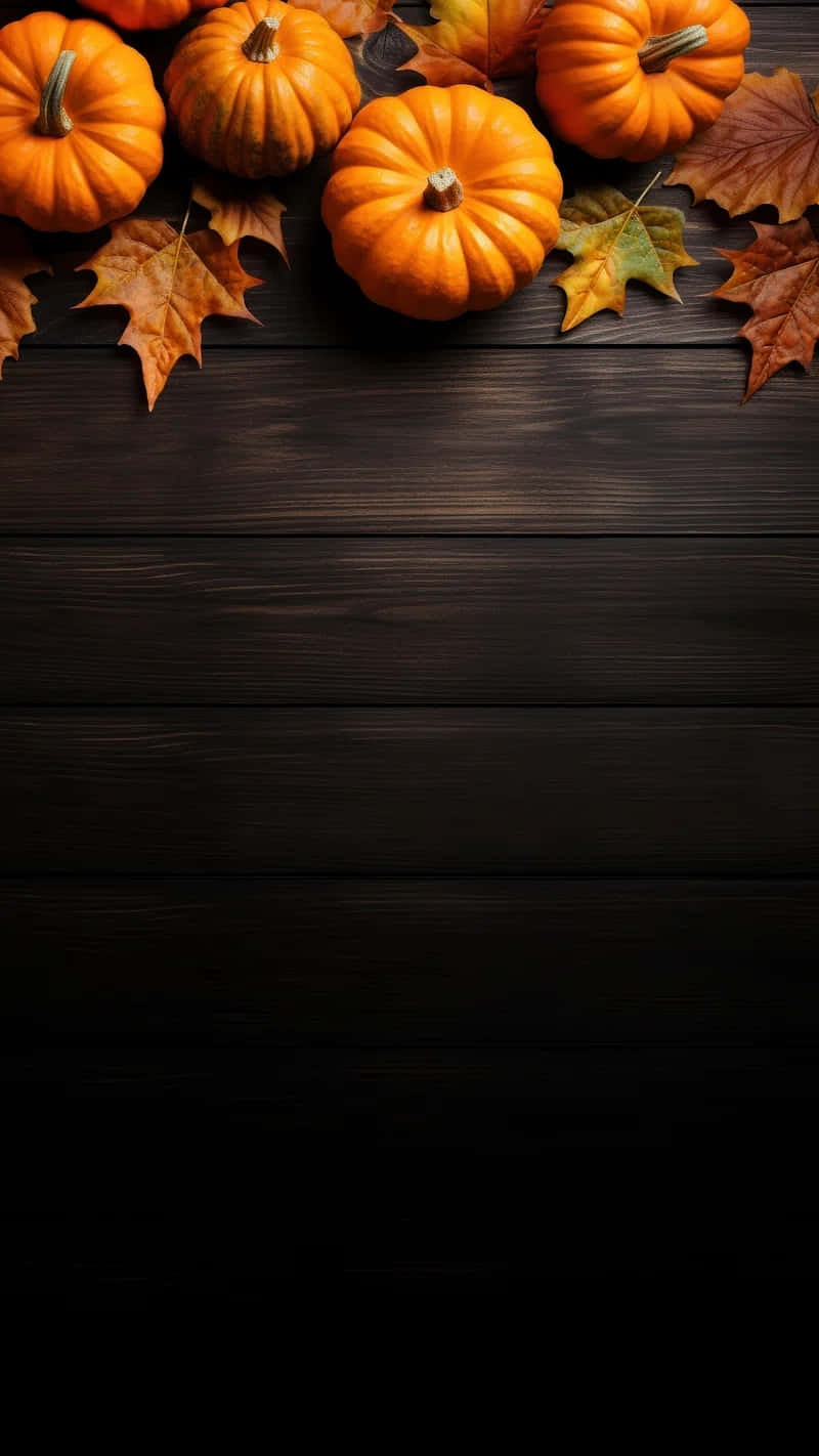 Autumn_ Pumpkins_ Dark_ Wooden_ Background.jpg Wallpaper