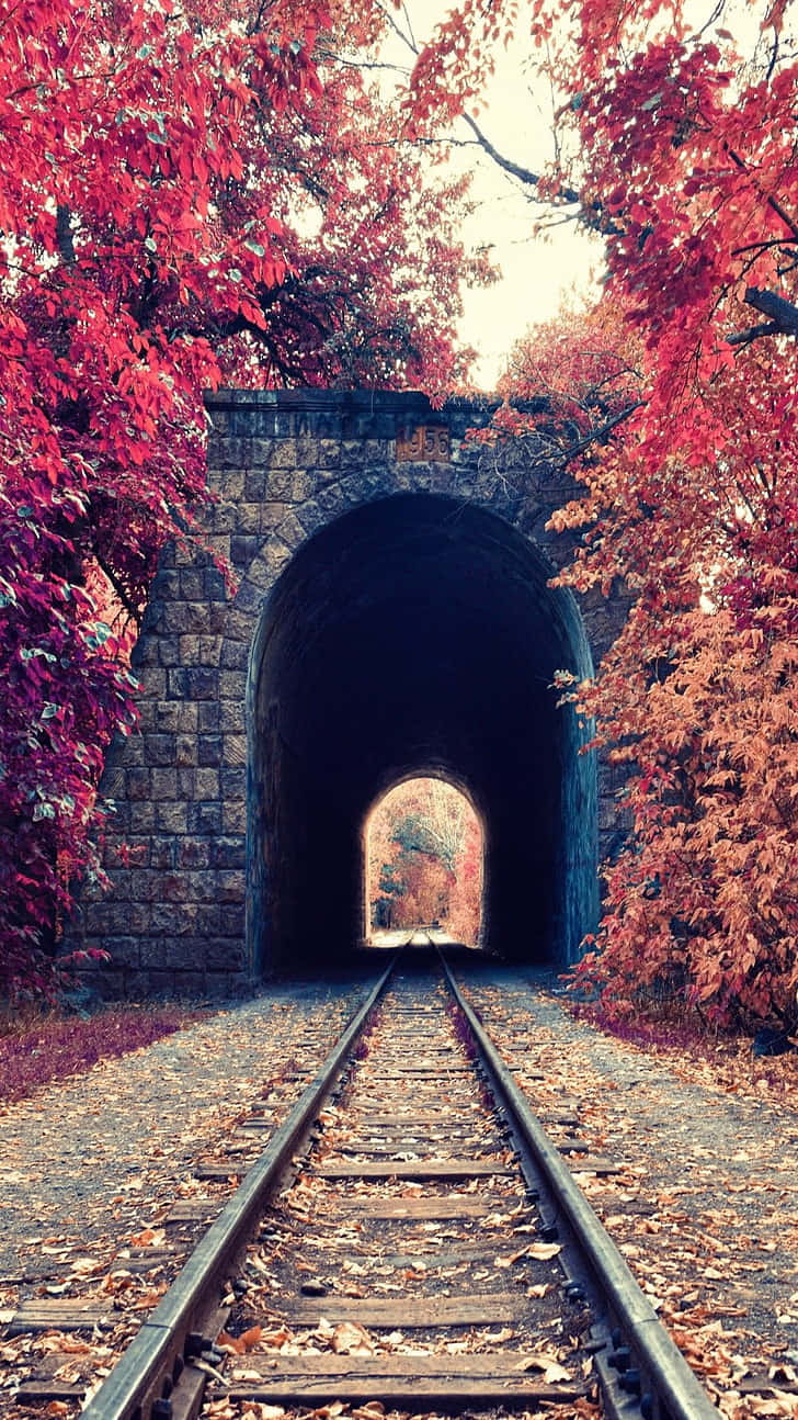 Autumn Railroad Tunnel Wallpaper