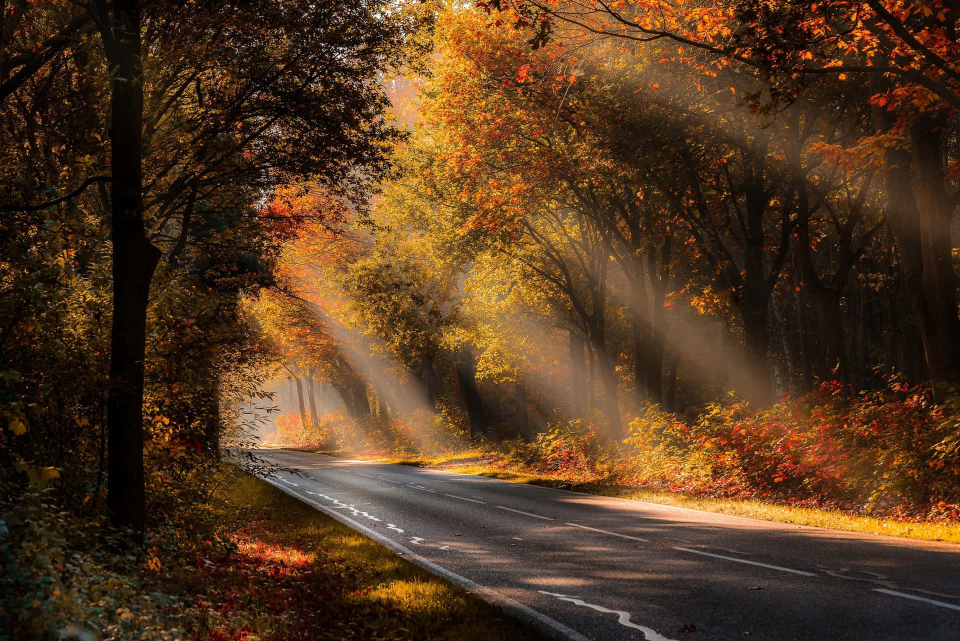 Autumn Rayson Country Road Wallpaper