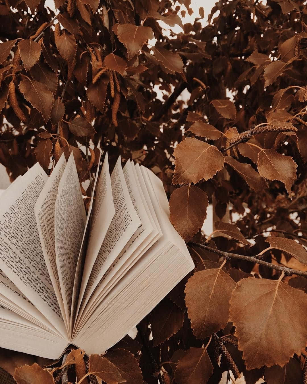 Autumn_ Reading_ Among_ Leaves.jpg Wallpaper