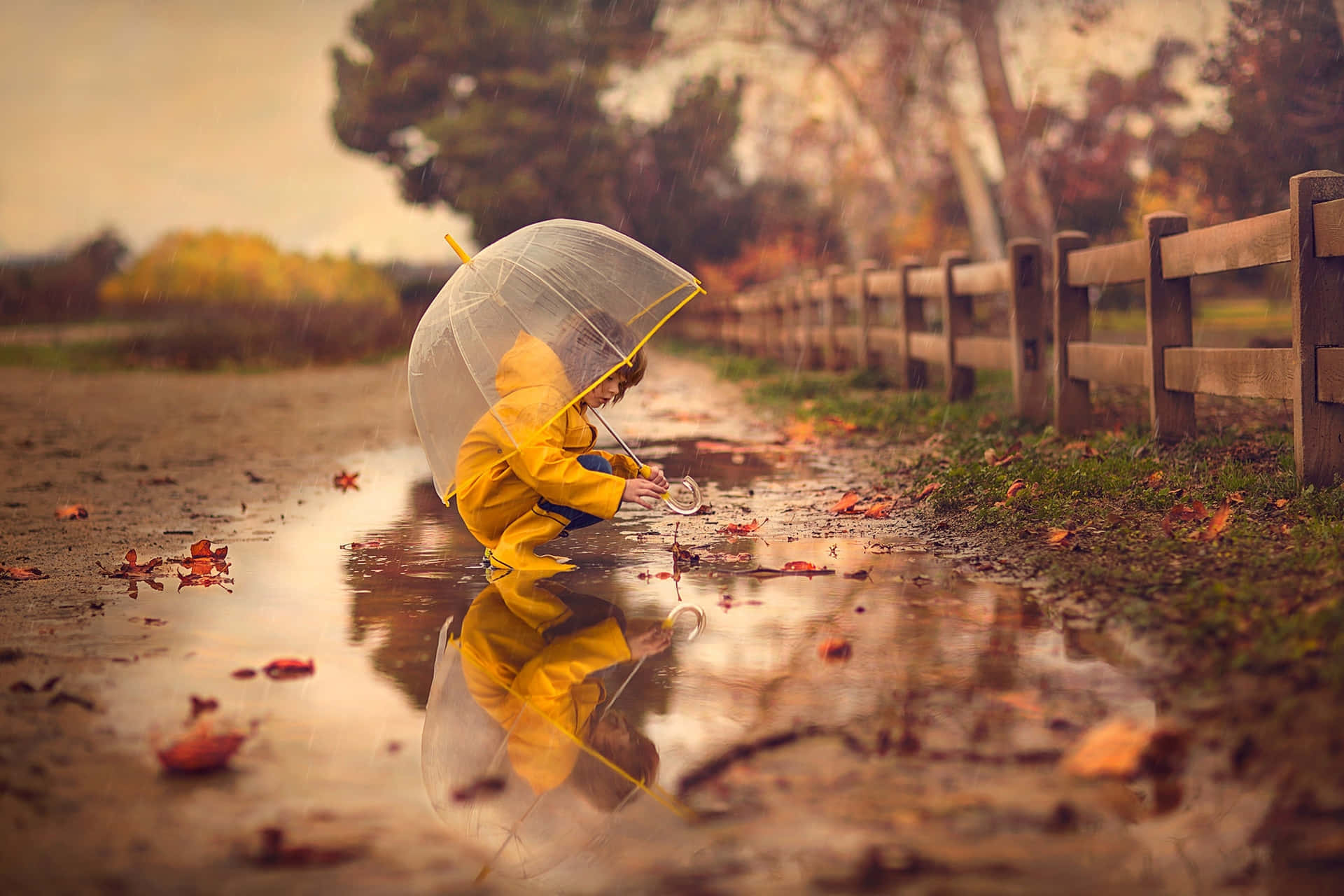 Autumn Reflection Little Girl With Umbrella Wallpaper