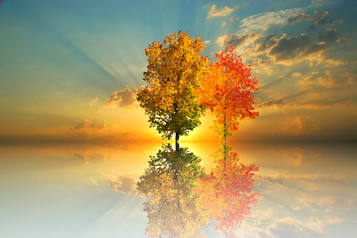 Autumn Reflection Sunset PNG