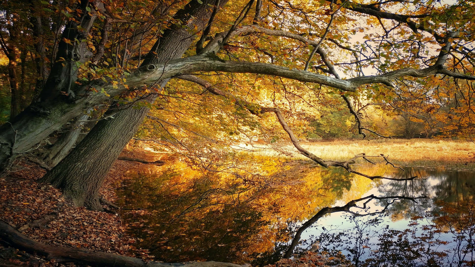 Autumn Reflections By The Lake.jpg Wallpaper