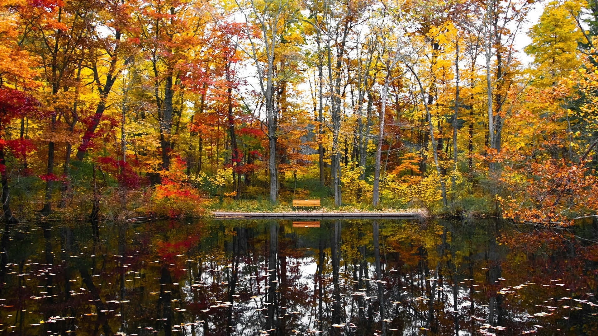 Autumn Reflections Pond.jpg Wallpaper