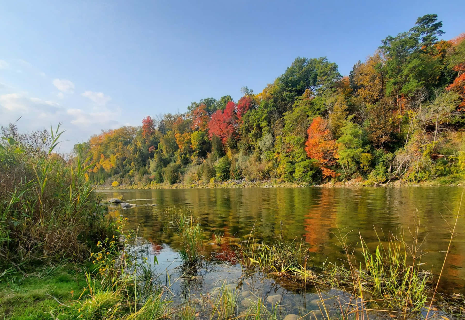 Autumn_ Riverbank_ Waterloo_ Canada.jpg Wallpaper