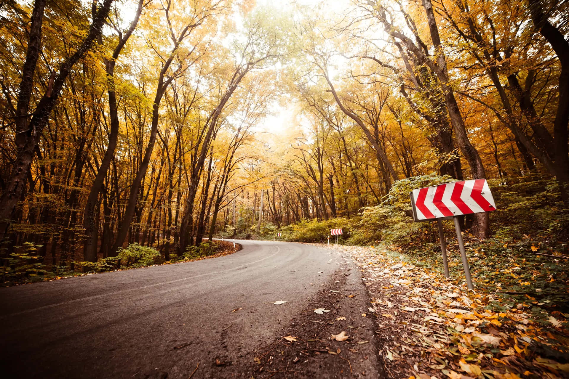 Autumn Road Curve Warning Sign Wallpaper