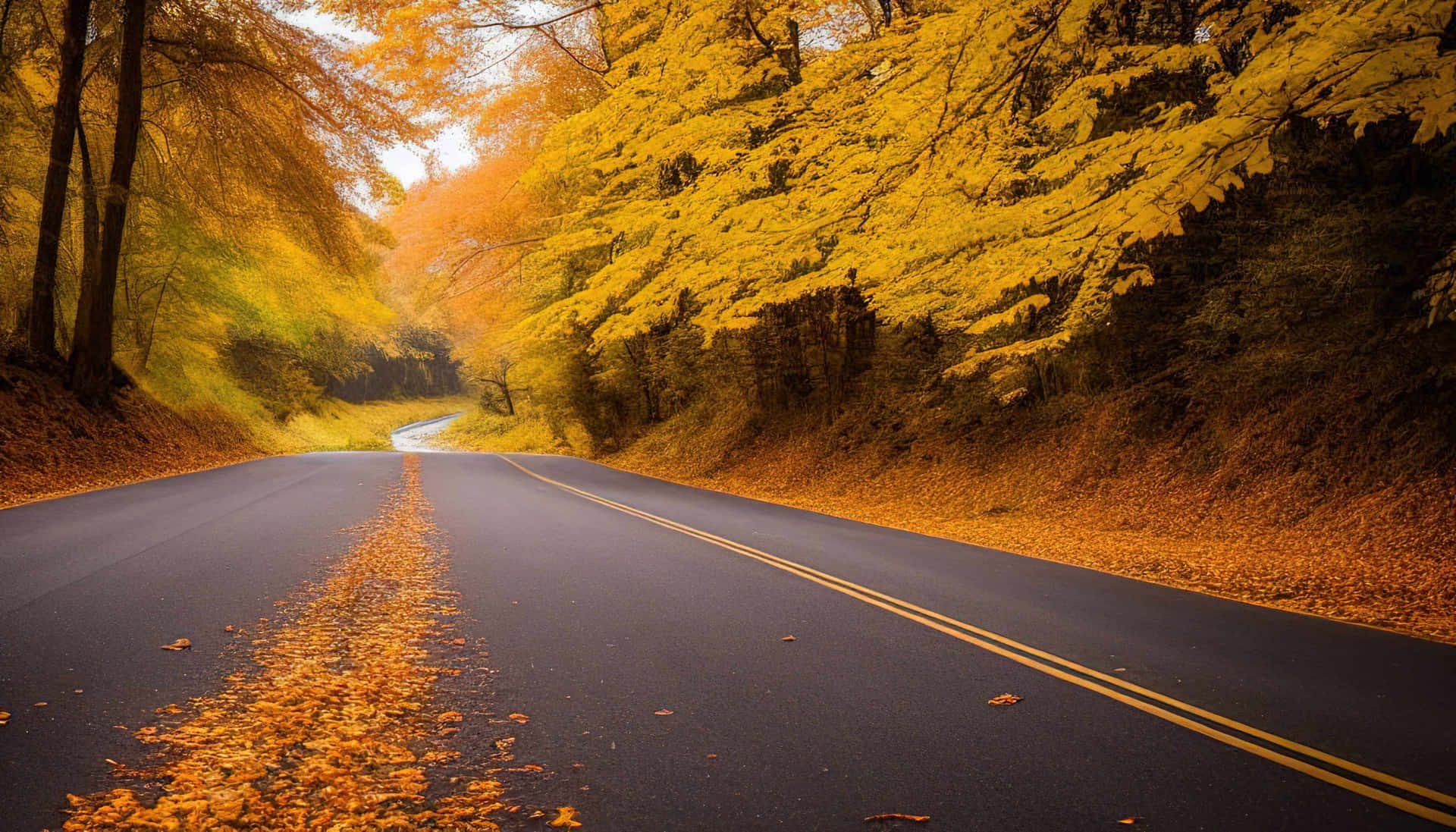 Autumn Road Foliage Scenery Wallpaper