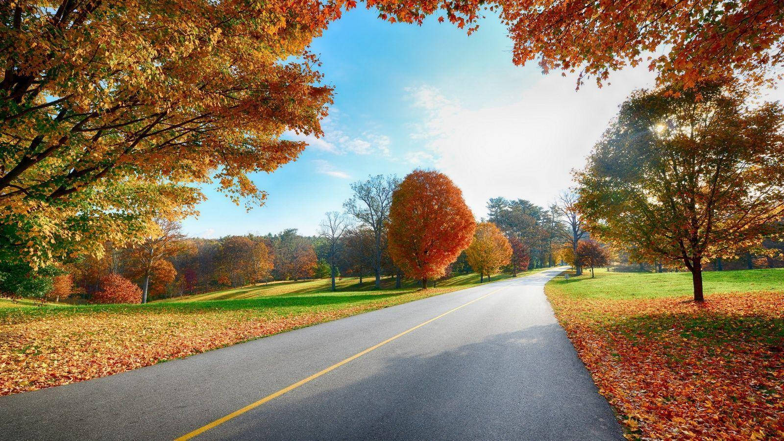Autumn Road Full Hd 1600x900 Wallpaper