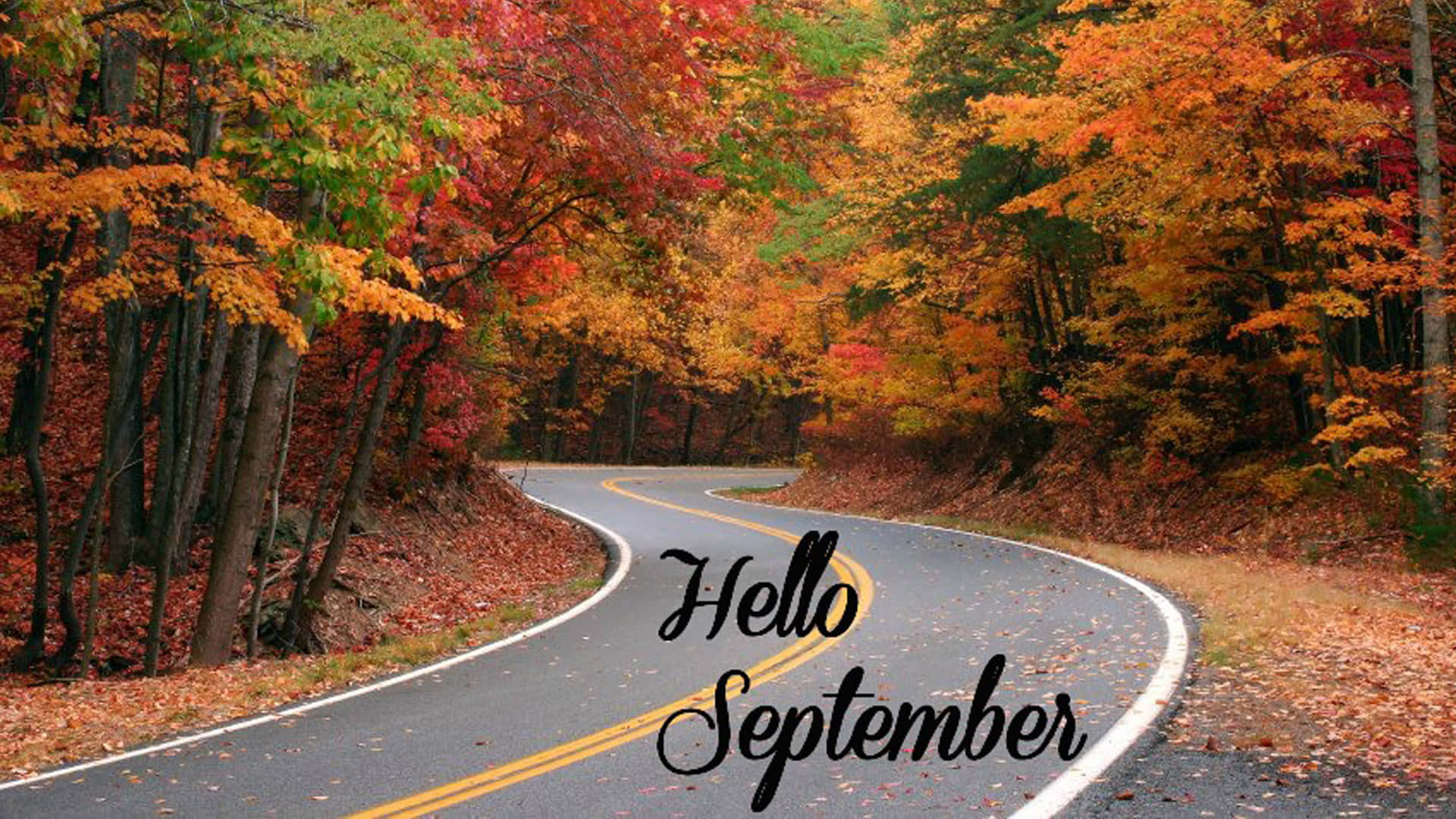 Autumn Road Hello September Wallpaper