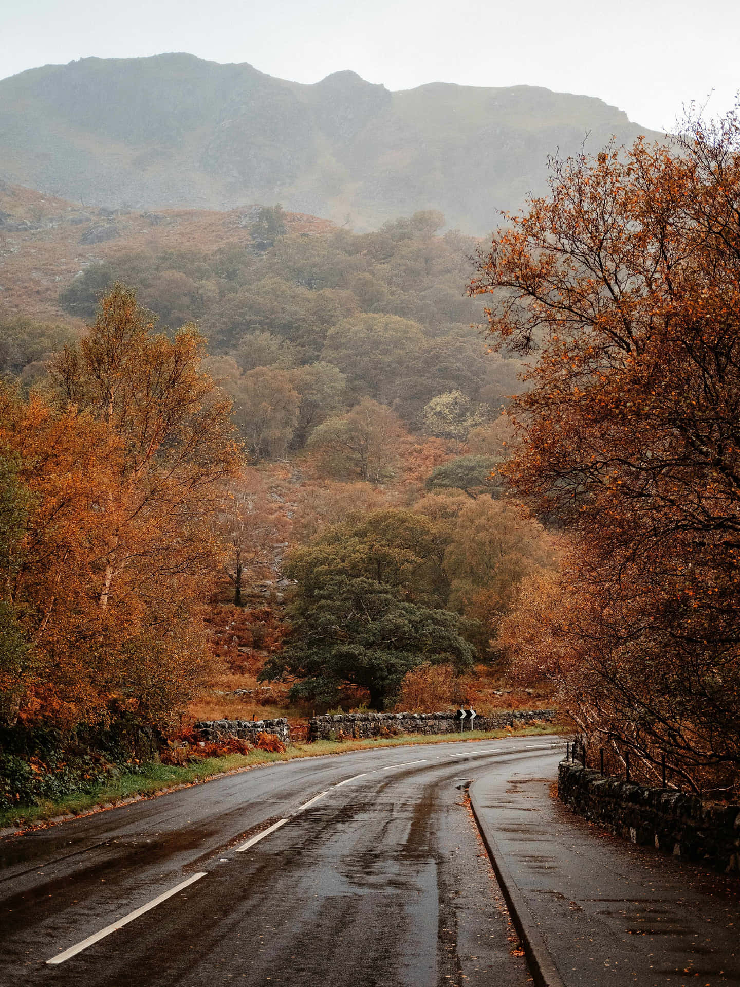 Autumn Road Misty Mountains Wallpaper