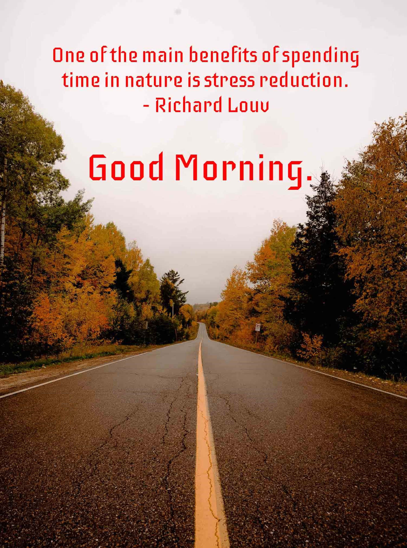 Autumn_ Road_ Nature_ Quote_ Good_ Morning Wallpaper