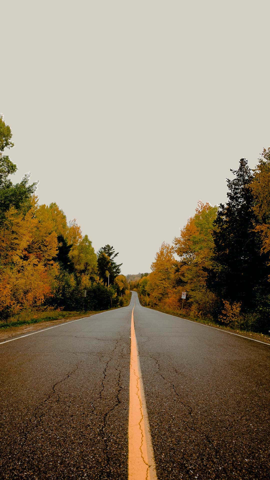 Autumn Road Serenity.jpg Wallpaper