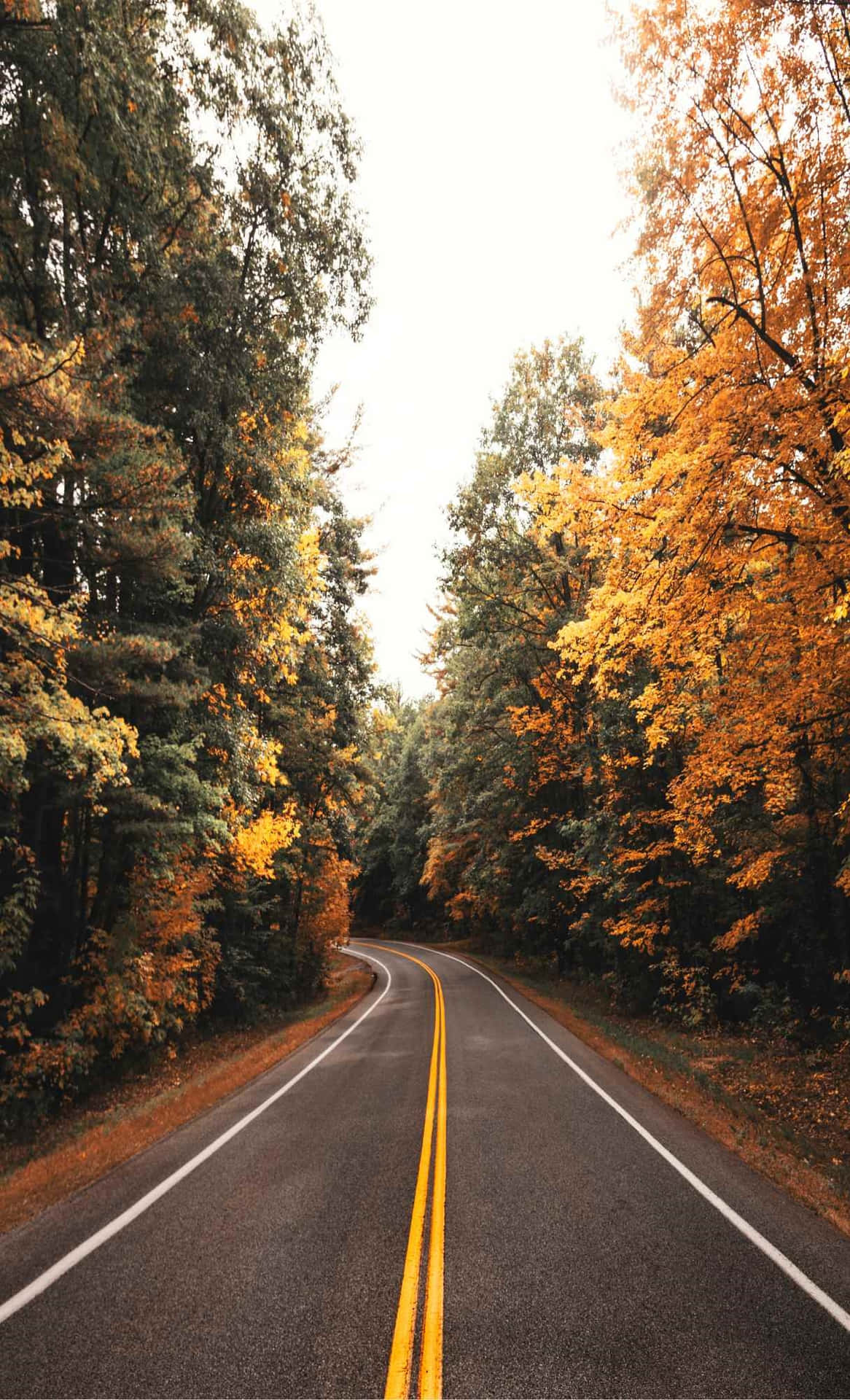 Autumn Road Serenity.jpg Wallpaper