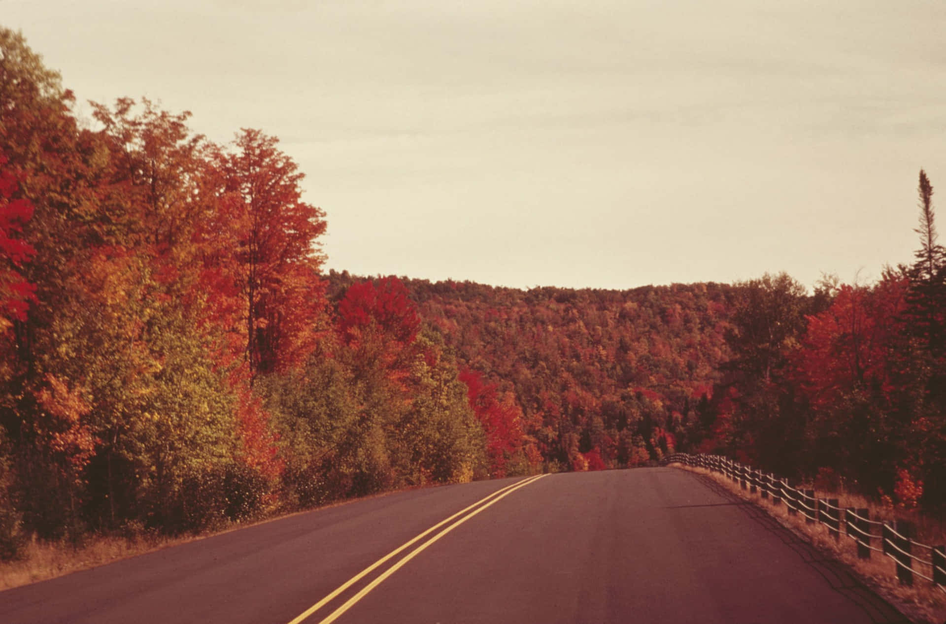 Autumn Road Trip Scenery Wallpaper
