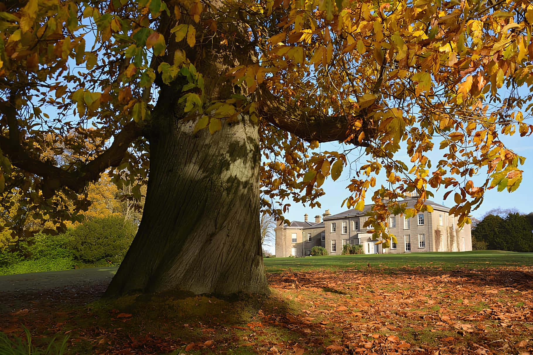 Autumn Scenery Armagh Manor Wallpaper