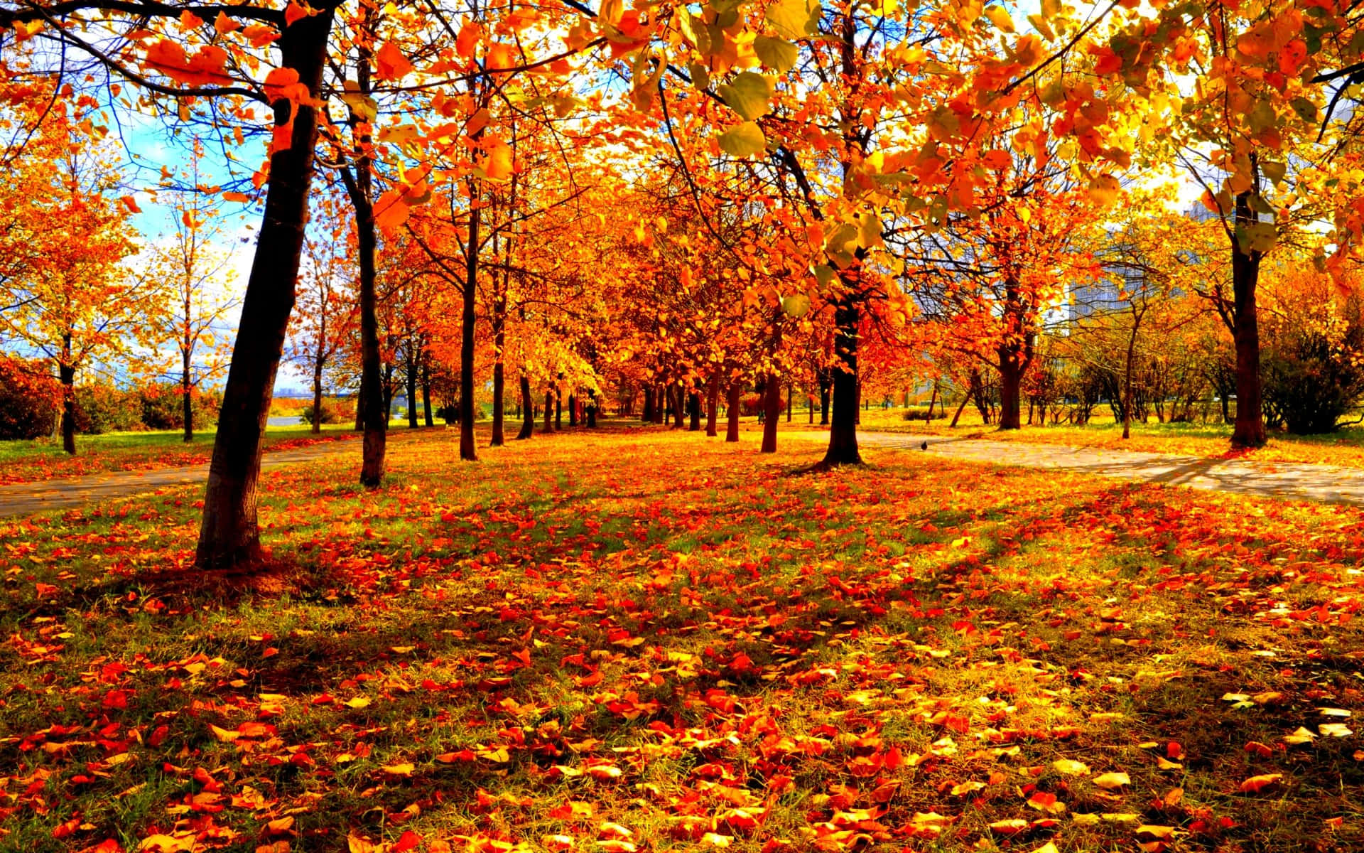 Witness The Beauty Of The Enchanting Autumn Season!