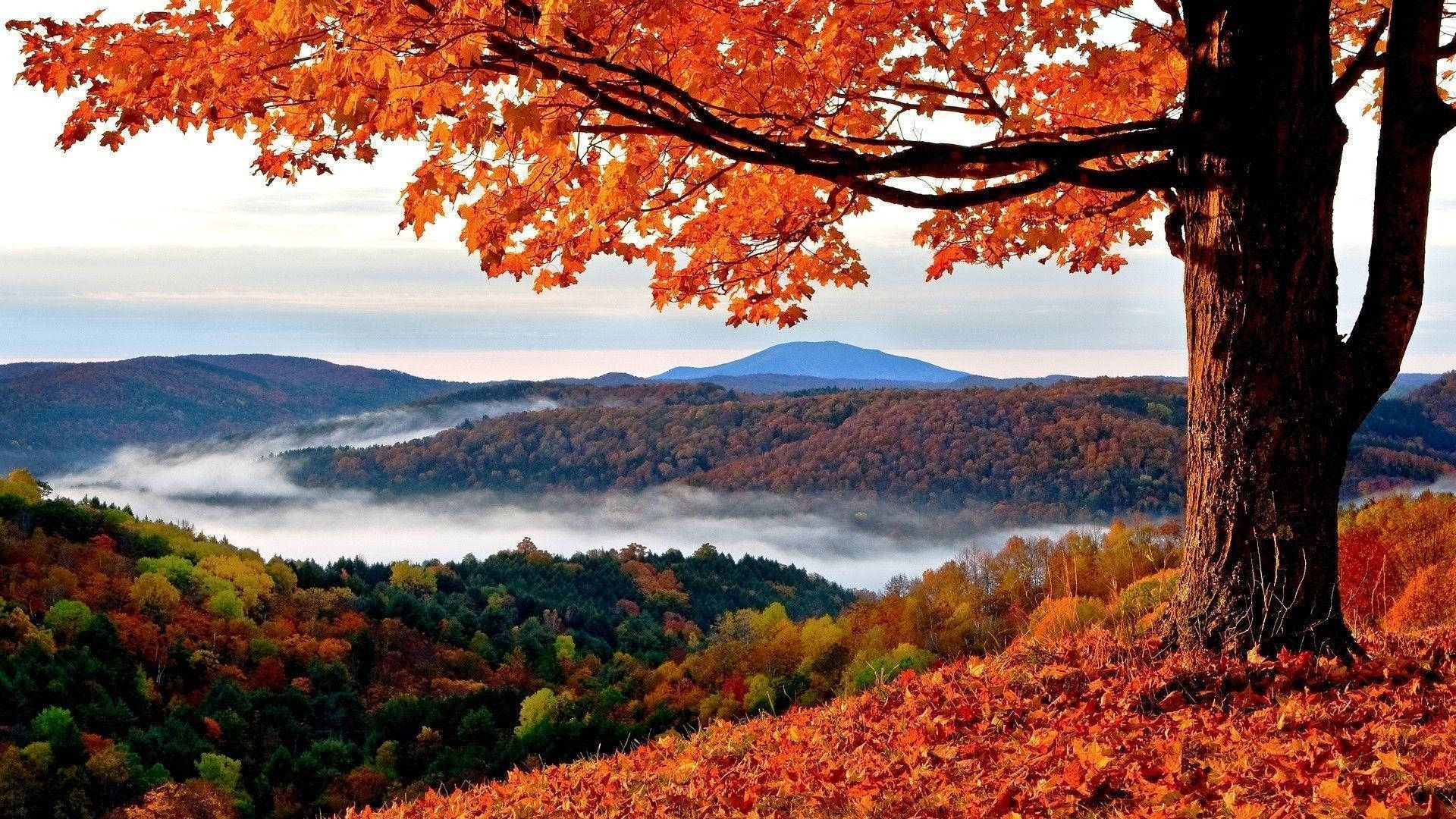 Herbstsaisonund Verschwommene Berge Wallpaper
