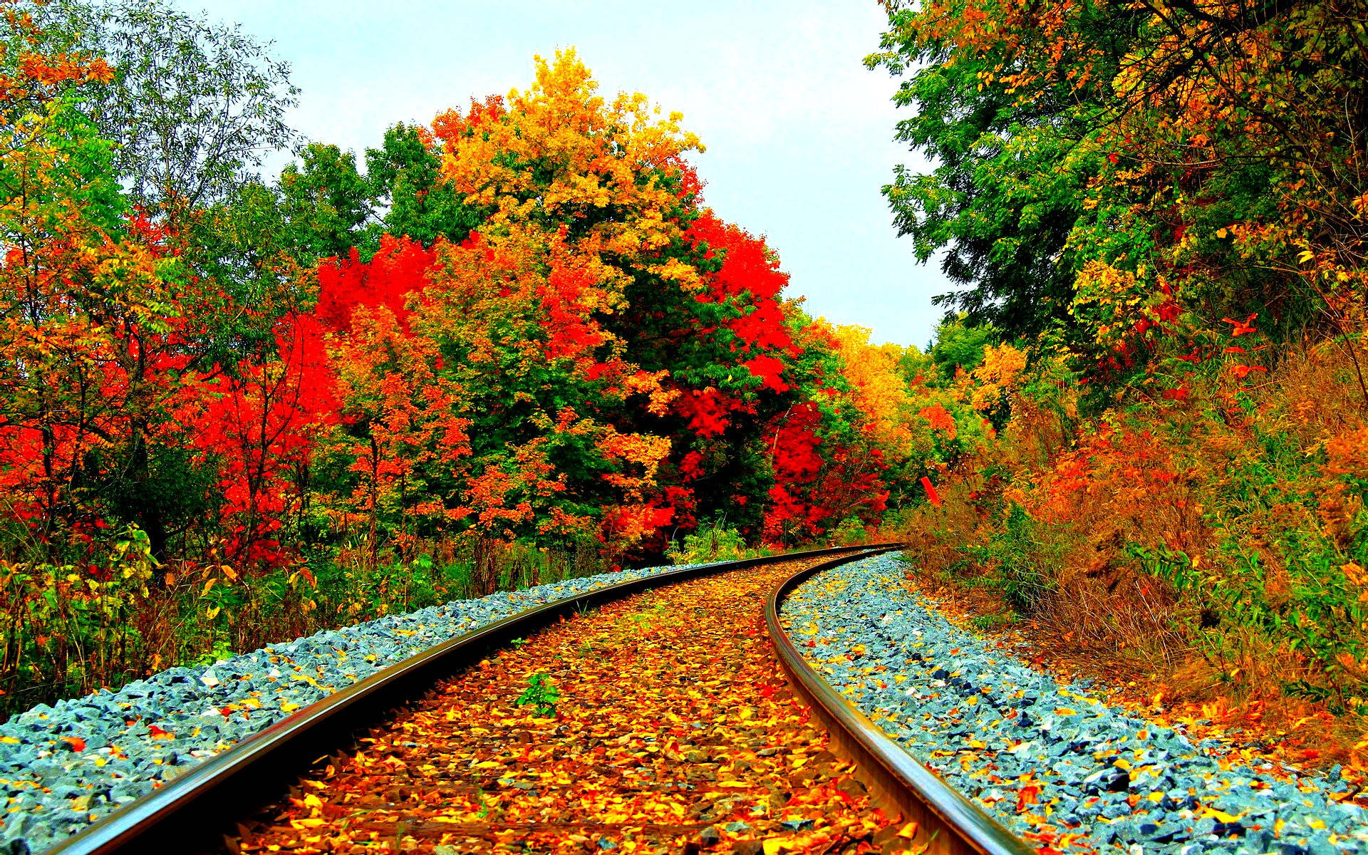 Enchanting Fall Journey by Train Wallpaper