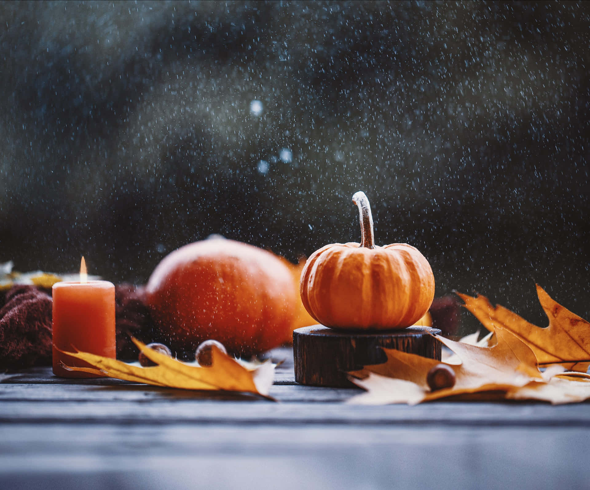 Autumn Splendor - Vibrant Pumpkin Background