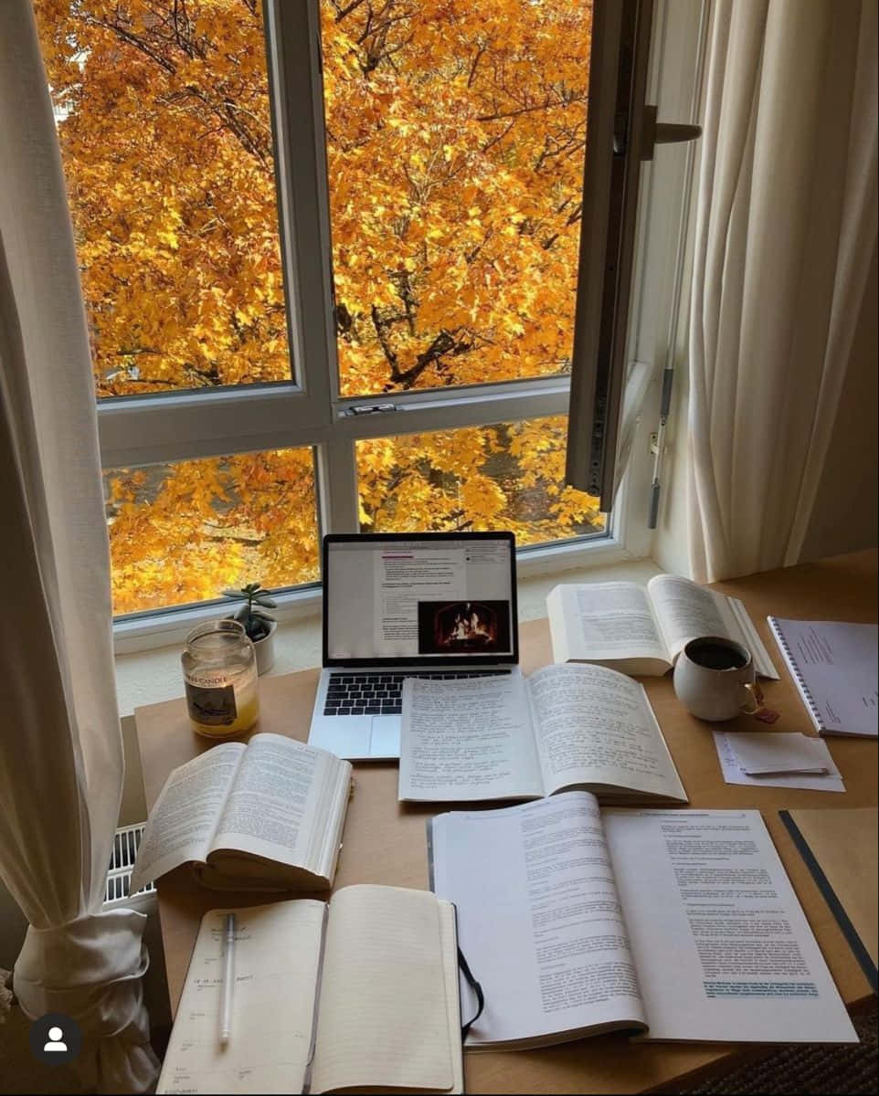 Autumn Study Sessionwith Window View Wallpaper