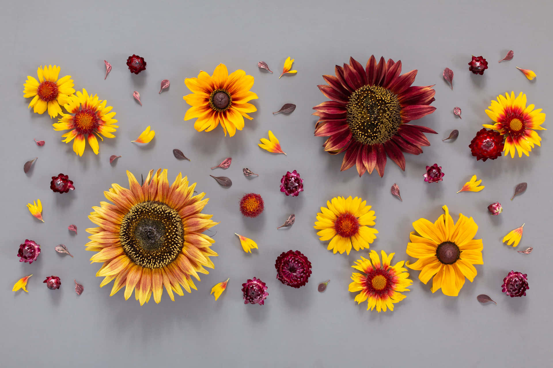 Autumn Sunflowersand Dried Flowers Flatlay Wallpaper