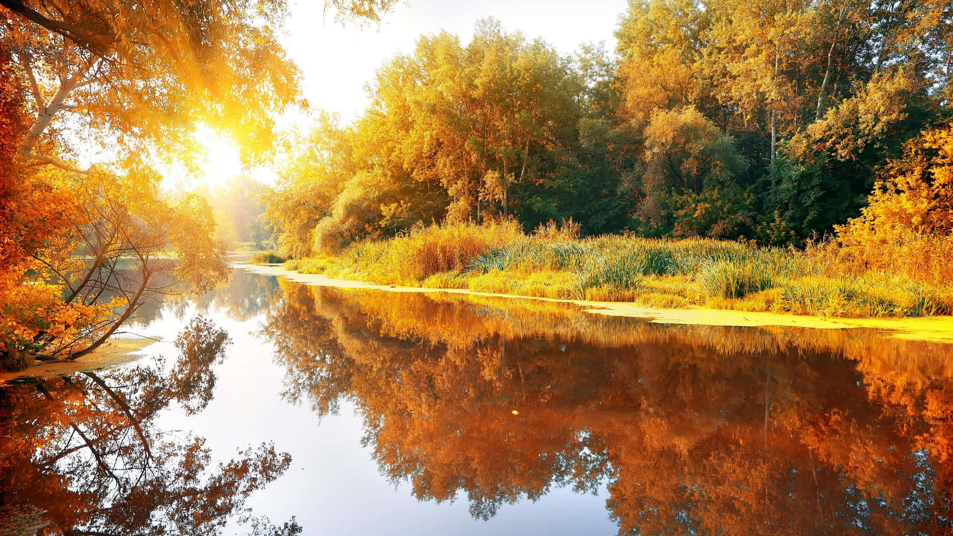 Autumn Sunrise Reflection River Wallpaper