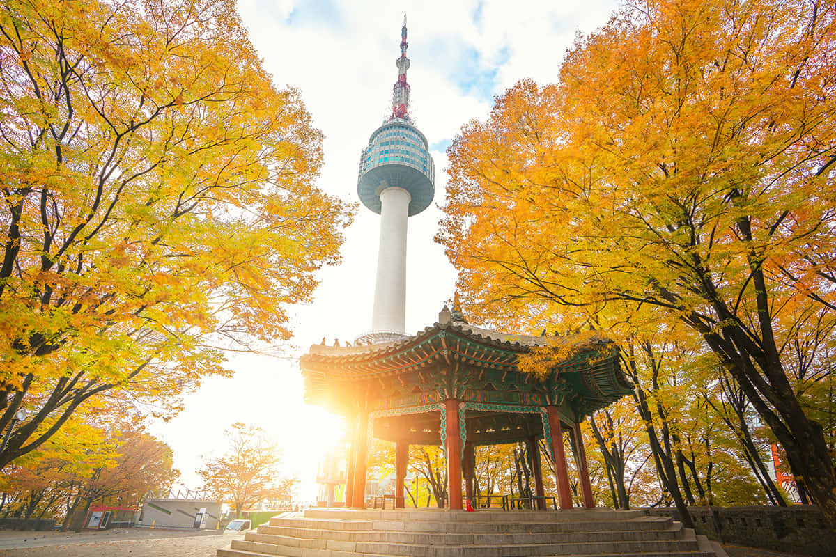 Autumn Sunriseat Namsan Seoul Tower Wallpaper