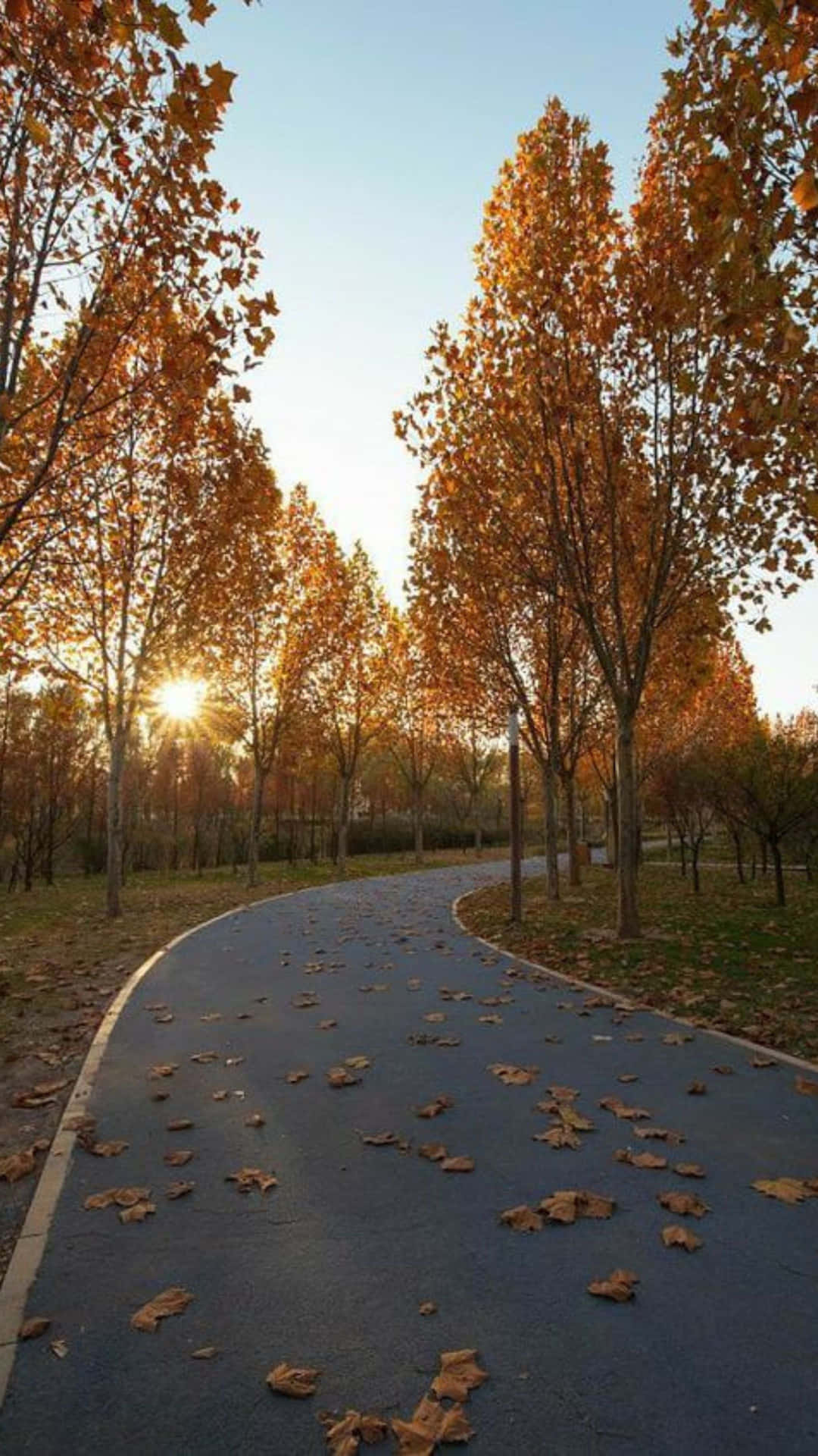Autumn Sunset Park Path.jpg Wallpaper