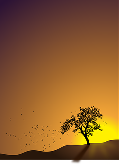 Autumn Sunset Silhouette PNG