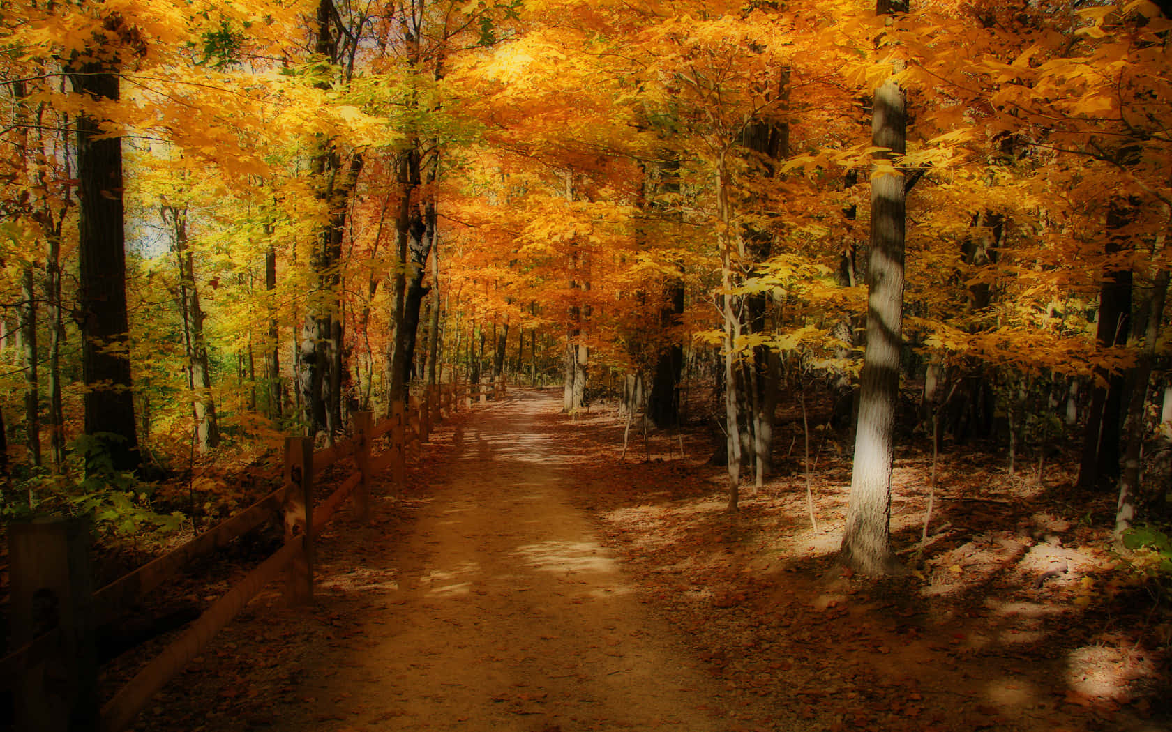 Autumn Trails Scenery Wallpaper