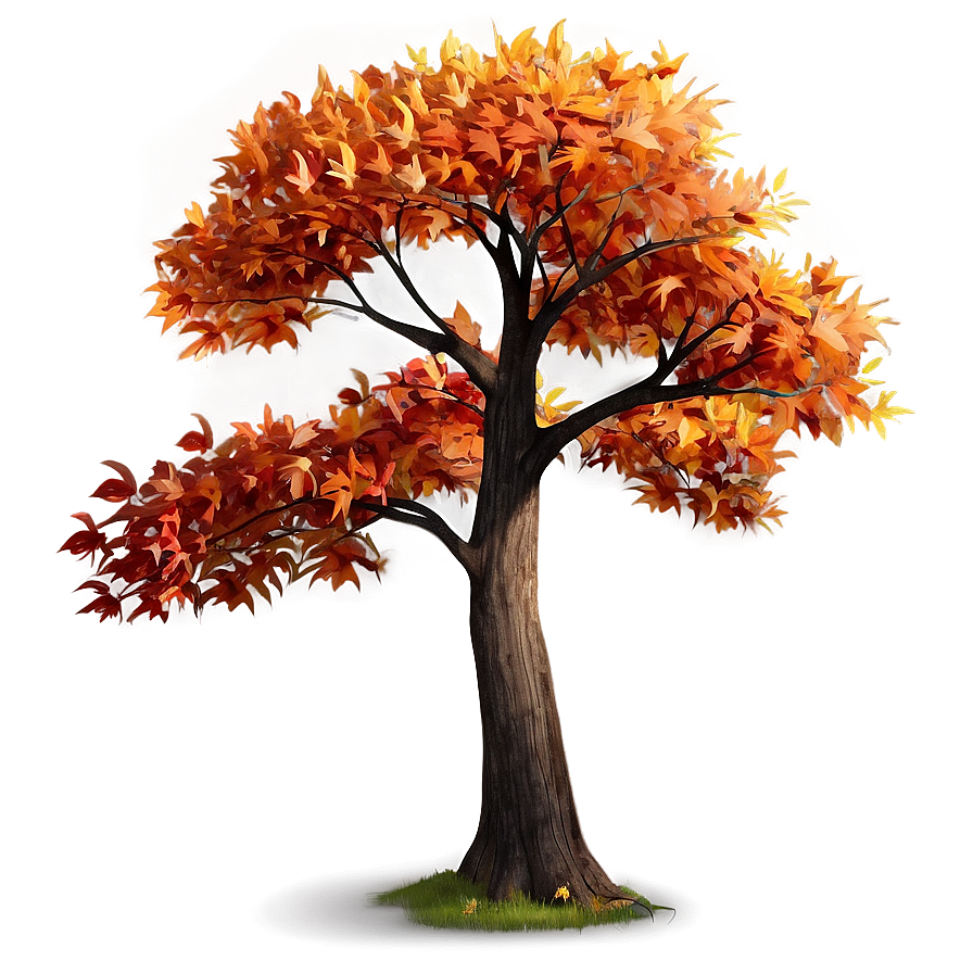 Autumn Tree A PNG