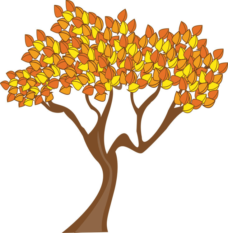 Autumn Tree Illustration PNG