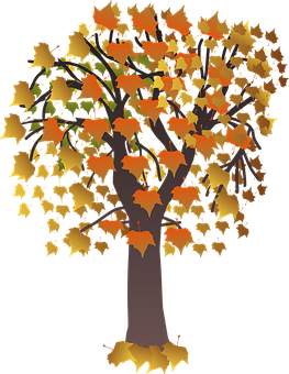 Autumn Tree Illustration PNG