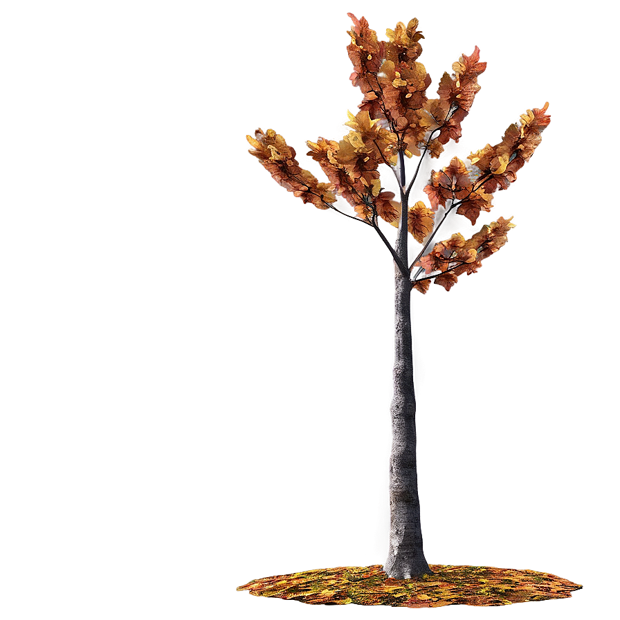 Autumn Tree In Park Png 13 PNG