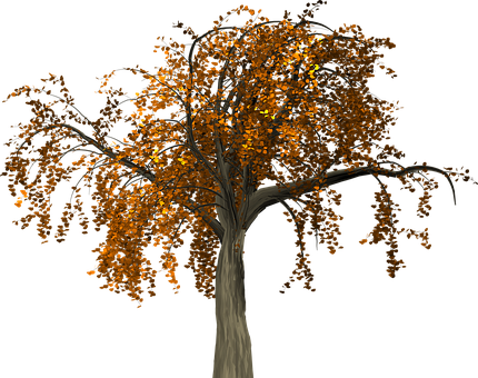 Autumn Tree Nighttime Illustration PNG