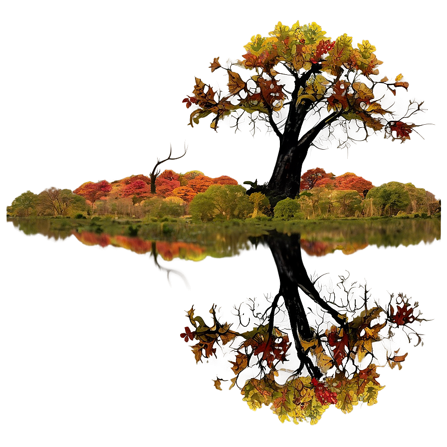 Autumn Tree Reflection Png Ack PNG