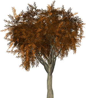 Autumn Tree3 D Model PNG
