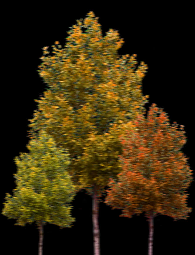 Autumn Trees Black Background PNG