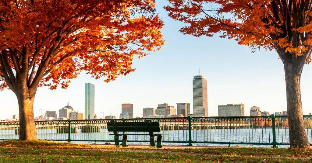 Autumn Trees In Boston