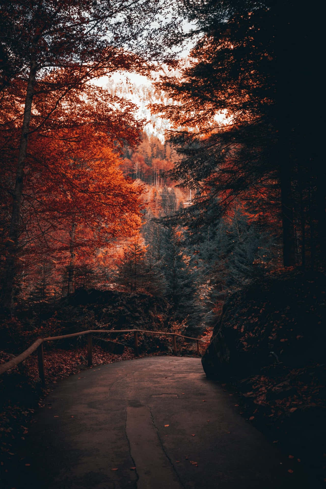 Autumn Twilight Pathway.jpg Wallpaper