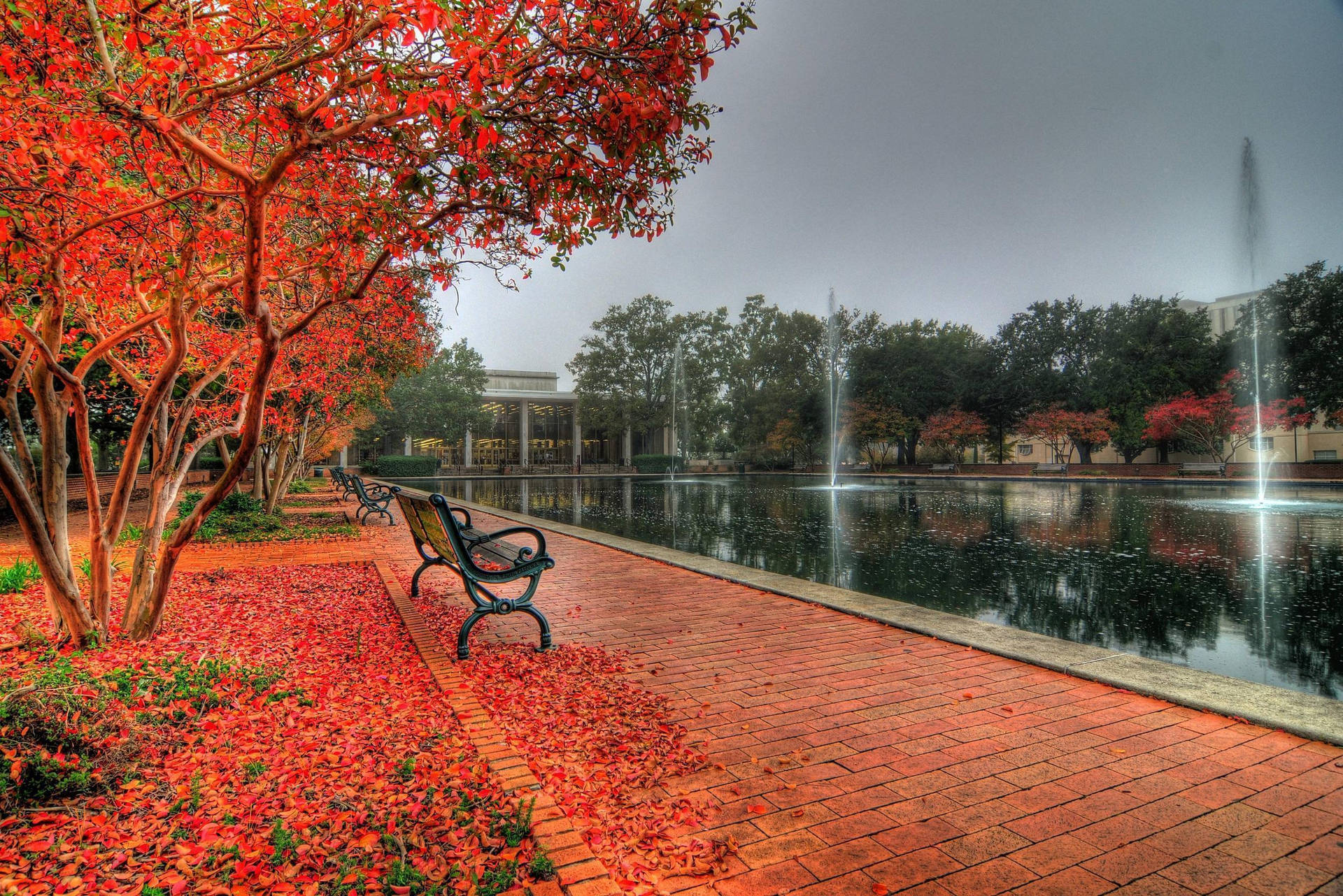 Autumn University Of South Carolina Campus Wallpaper