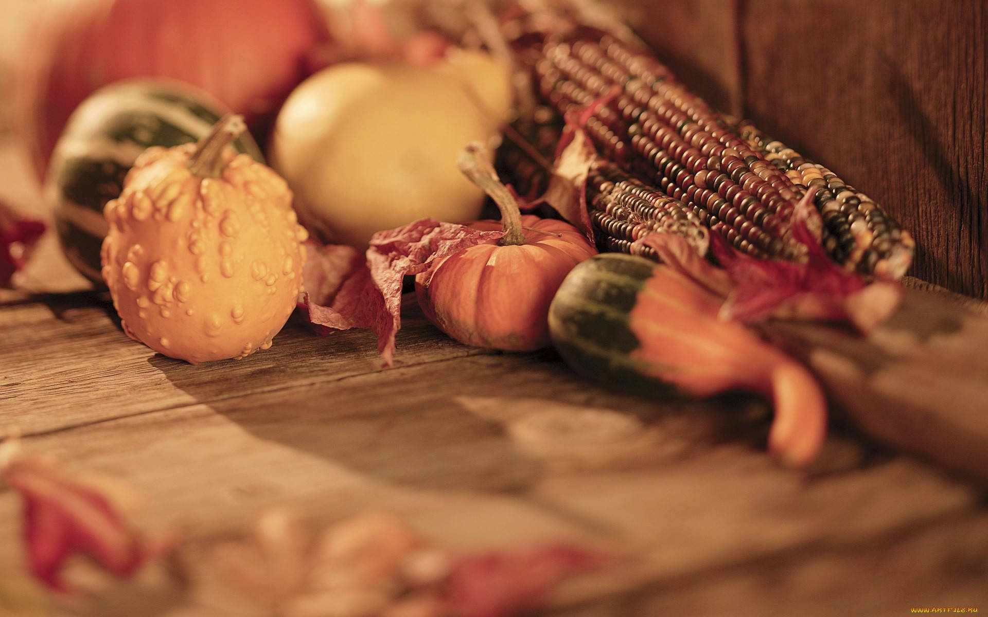 Autumn Vegetables Harvest Wallpaper