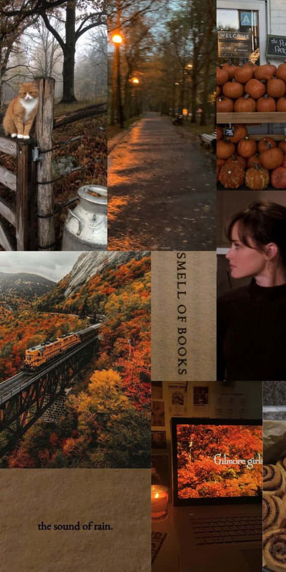 Autumn Vibes Collage Rory Gilmore Inspired Wallpaper