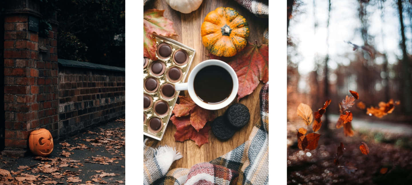 Autumn_ Vibes_ Triptych.jpg Wallpaper