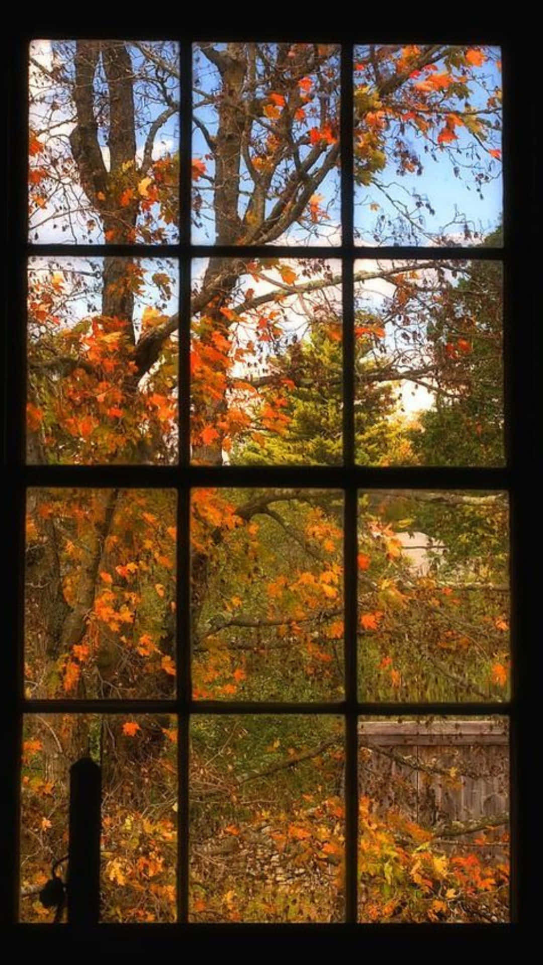 Autumn_ View_ Through_ Window_ Pane.jpg Wallpaper