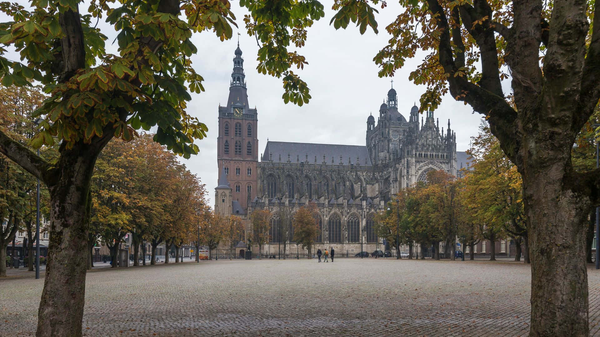 Høstutsikt Over St. John's Katedral Den Bosch Bakgrunnsbildet