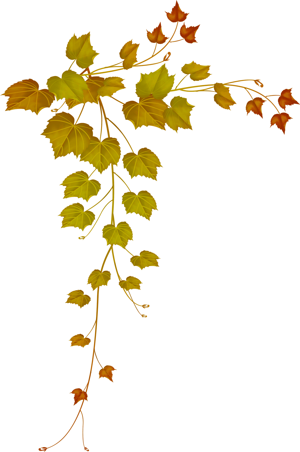 Autumn Vine Leaves Frame PNG